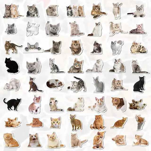 Alt view image 4 of 7 - 100 Pcs Cat Stickers, Cute Meme Kitten Stickers for Water Bottles Laptop Guitar Suitcase, DIY Waterproof Vinyl Decals Gifts for Adults Teens Kids Boys Girls