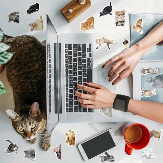 Alt view image 7 of 7 - 100 Pcs Cat Stickers, Cute Meme Kitten Stickers for Water Bottles Laptop Guitar Suitcase, DIY Waterproof Vinyl Decals Gifts for Adults Teens Kids Boys Girls