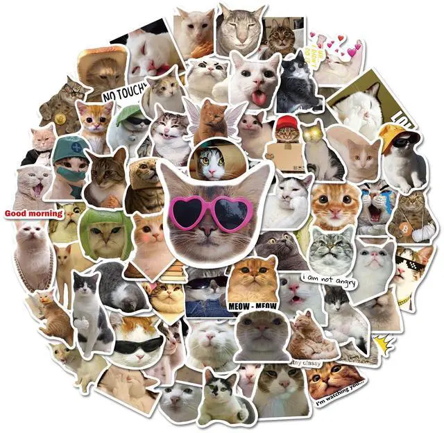 Main image of 100 Pcs Cat Stickers, Cute Meme Kitten Stickers for Water Bottles Laptop Guitar Suitcase, DIY Waterproof Vinyl Decals Gifts for Adults Teens Kids Boys Girls