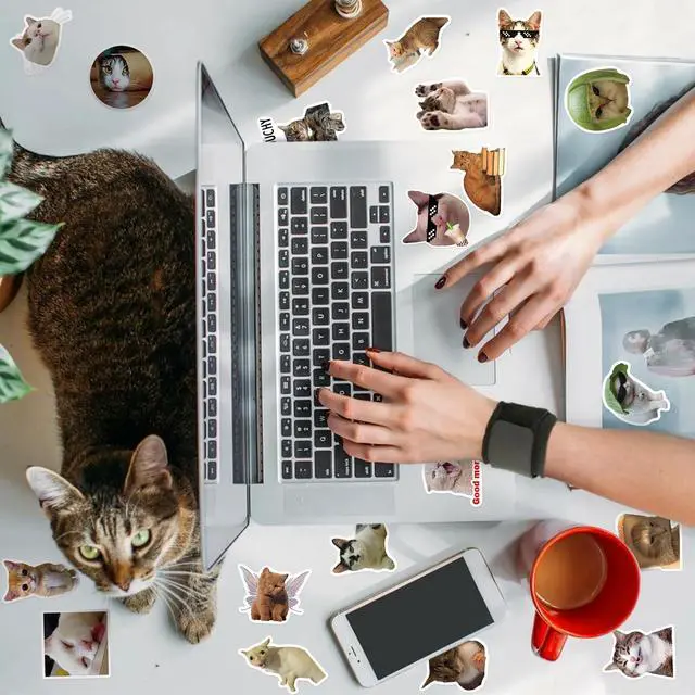 Alt view image 7 of 7 - 100 Pcs Cat Stickers, Cute Meme Kitten Stickers for Water Bottles Laptop Guitar Suitcase, DIY Waterproof Vinyl Decals Gifts for Adults Teens Kids Boys Girls