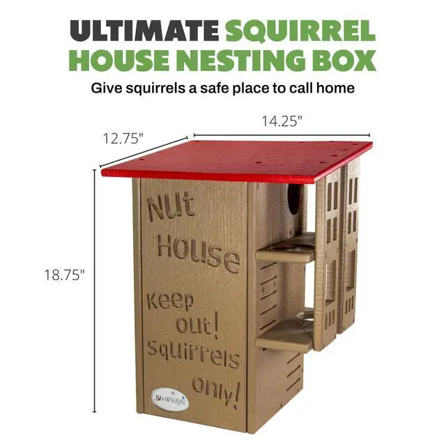 Alt view image 2 of 6 - Ultimate Squirrel House Nesting Box, Multi-Tier Predator Guard Design, Protected Entrance, Recycled Poly Lumber, Ventilation Drainage, Easy Cleanout, Made in USA, Green & Tan