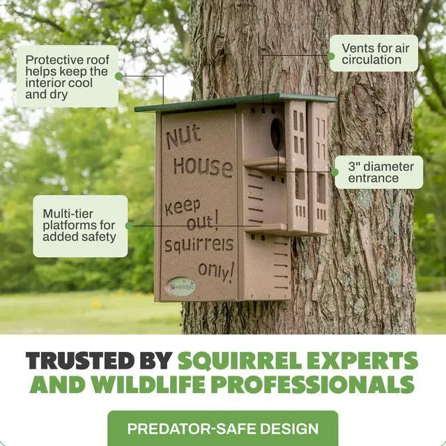 Alt view image 3 of 6 - Ultimate Squirrel House Nesting Box, Multi-Tier Predator Guard Design, Protected Entrance, Recycled Poly Lumber, Ventilation Drainage, Easy Cleanout, Made in USA, Green & Tan