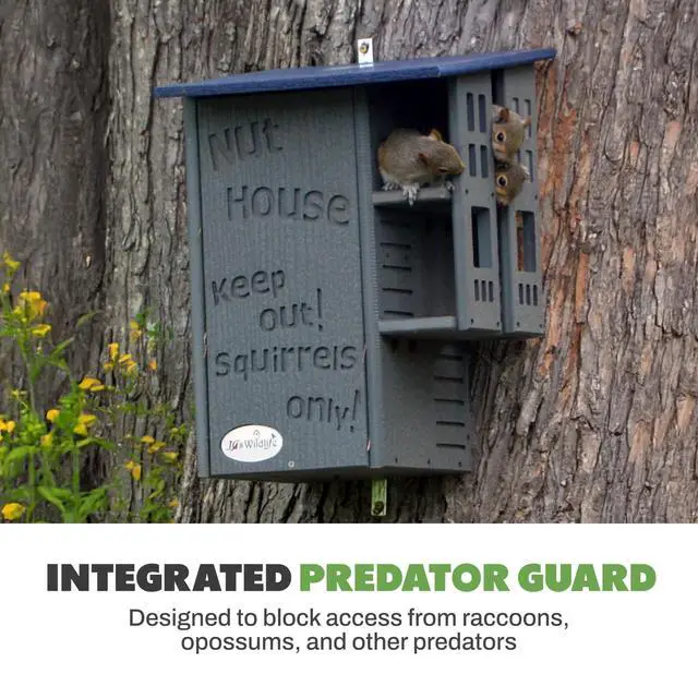 Alt view image 4 of 6 - Ultimate Squirrel House Nesting Box, Multi-Tier Predator Guard Design, Protected Entrance, Recycled Poly Lumber, Ventilation Drainage, Easy Cleanout, Made in USA, Green & Tan