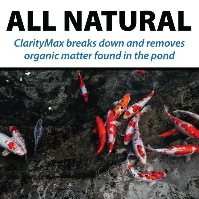 Alt view image 4 of 6 - ClarityMax