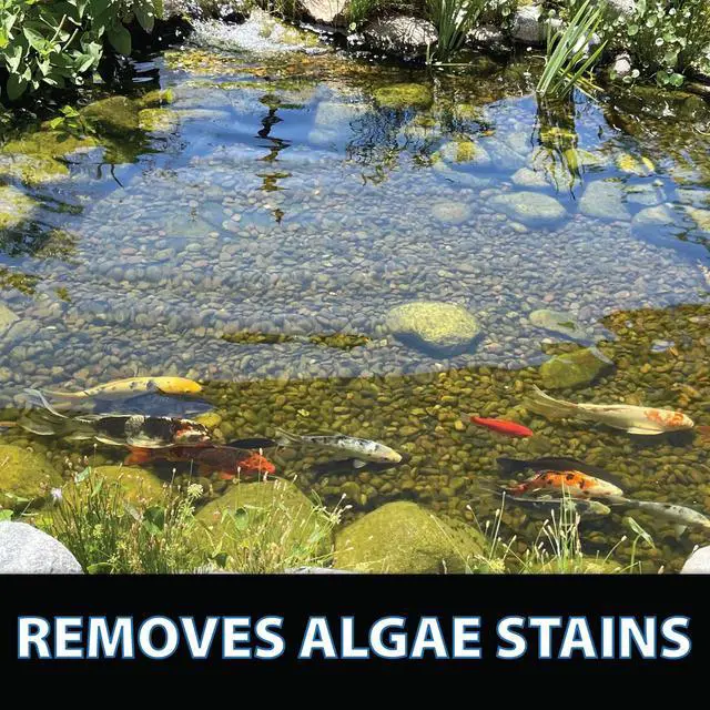 Alt view image 5 of 6 - ClarityMax