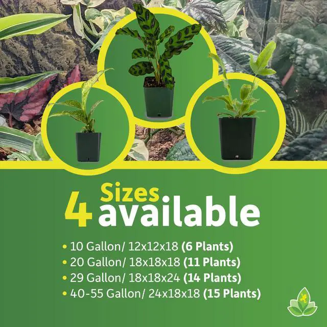 Alt view image 6 of 6 - 24x18x18 Tropical Vivarium Plant Kit