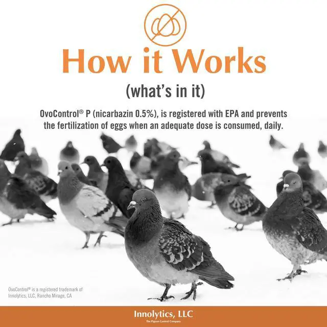 Alt view image 2 of 6 - OVOCONTROL - Bird Pest Population and Birth Control Bait for Pigeons (30 lbs)