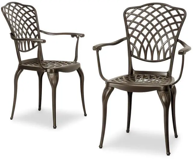 Main image of Arden 2-Piece Outdoor Patio Dining Chairs Set of 2, Cast Aluminum Patio Chair Set, All-Weather Resistant Outdoor Dining Furniture, Brown