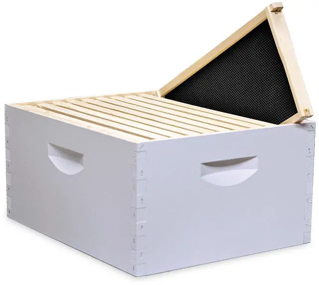 Main image of 10-Frame Deep Hive Kit, Fully Assembled 9" Bee Hive Body with 10 Frames & Beeswax-Coated Plastic Foundation for Brood Replacement, Colony Growth & Honey Production, Made in USA, Painted