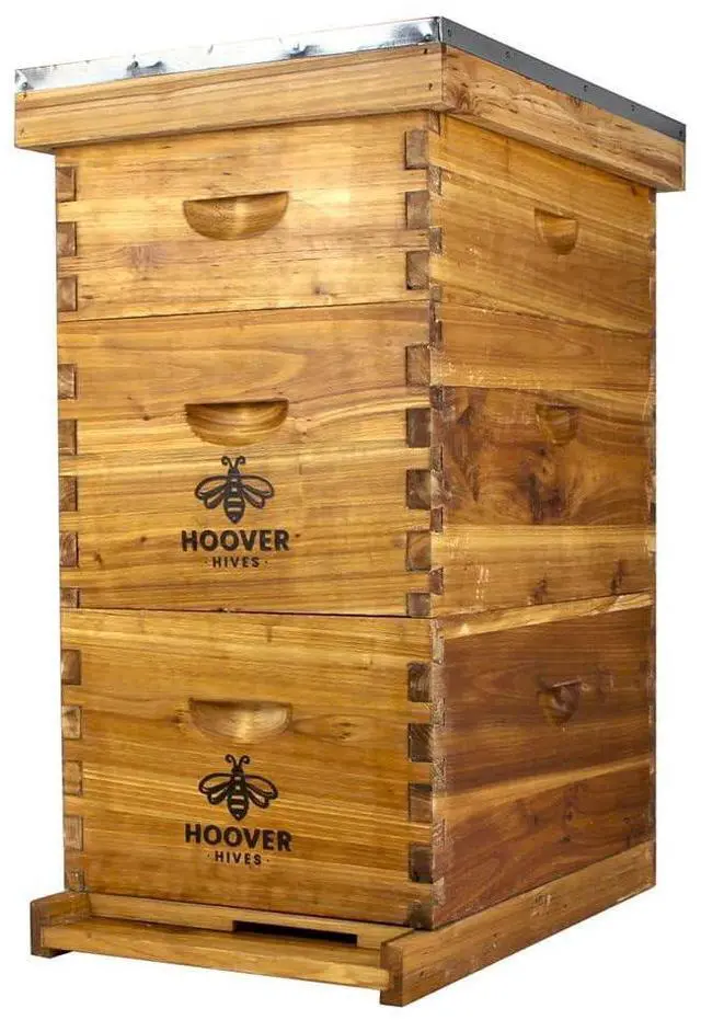 Main image of Complete 8-Frame Beehive Kit Wax-Coated Fir Wood, Includes 2 Deep Brood Boxes, 1 Medium Super, Langstroth Frames & CellTech Foundations Durable, Weather-Resistant Beekeeping Supplies