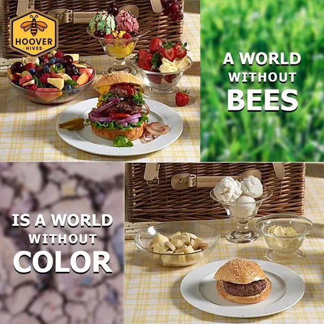 Alt view image 4 of 6 - Complete 8-Frame Beehive Kit Wax-Coated Fir Wood, Includes 2 Deep Brood Boxes, 1 Medium Super, Langstroth Frames & CellTech Foundations Durable, Weather-Resistant Beekeeping Supplies