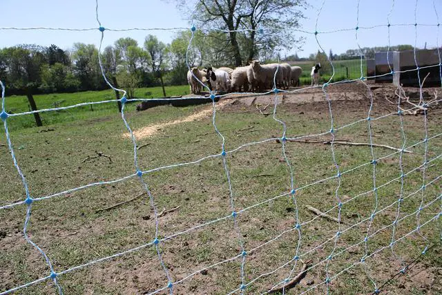 Alt view image 5 of 6 - Premium Electric Sheep & Goat Netting Kit- AC Energizer (9/35/8) for Backyards, Homesteaders, and Livestock Owners