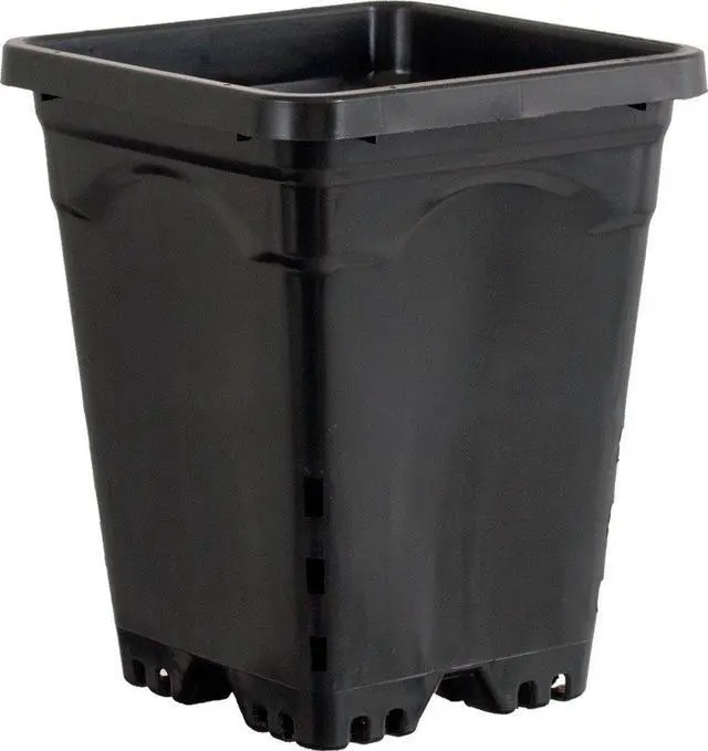 Main image of Active Aqua HG7X7SB, 7" X 7", Black Square Pot (Pack of 50)