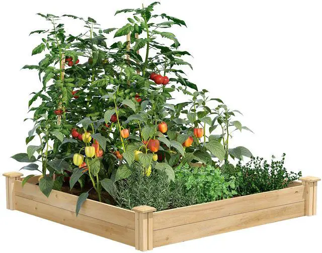 Main image of Premium Cedar Raised Garden Bed, 4' x 4' x 7" (3/4" Thick) (3-Pack) - Made in USA with North American Cedar