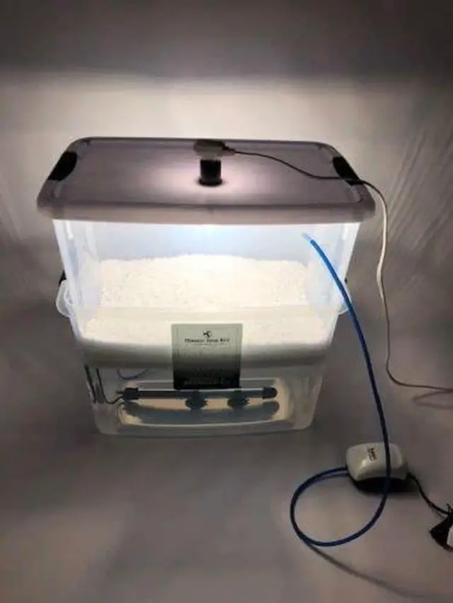Alt view image 2 of 6 - 12 Jars Mushroom Growing Kit Ultimate Fast Automated Cultivation Equipment