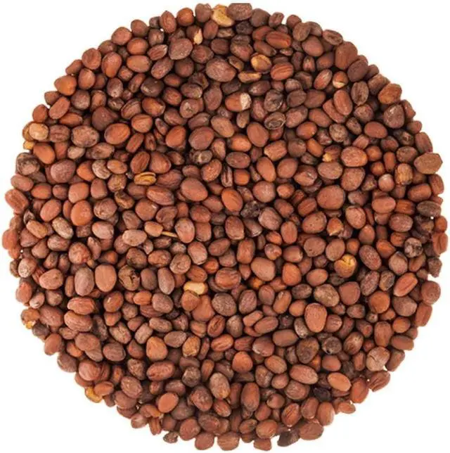 Alt view image 3 of 6 - Radish Seeds for Sprouting, 15 Pounds Edible Seeds, Pure, Vegan, Kosher, Bulk. Rich in Vitamin C. High Germitation Rate. Grow Sprouts, and Microgreens for Salad, Sandwiches, Rolls