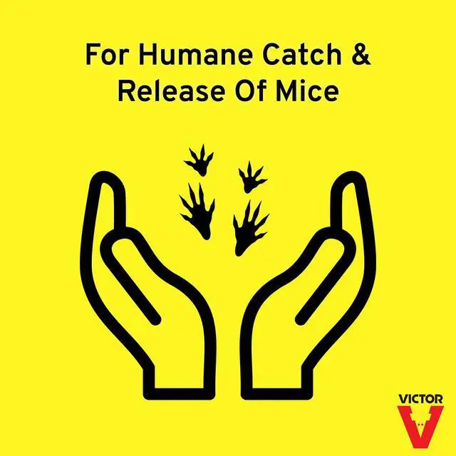 Alt view image 2 of 6 - M308 Tin Cat Humane Live Mouse Trap Clear Lid (Pack of 12)
