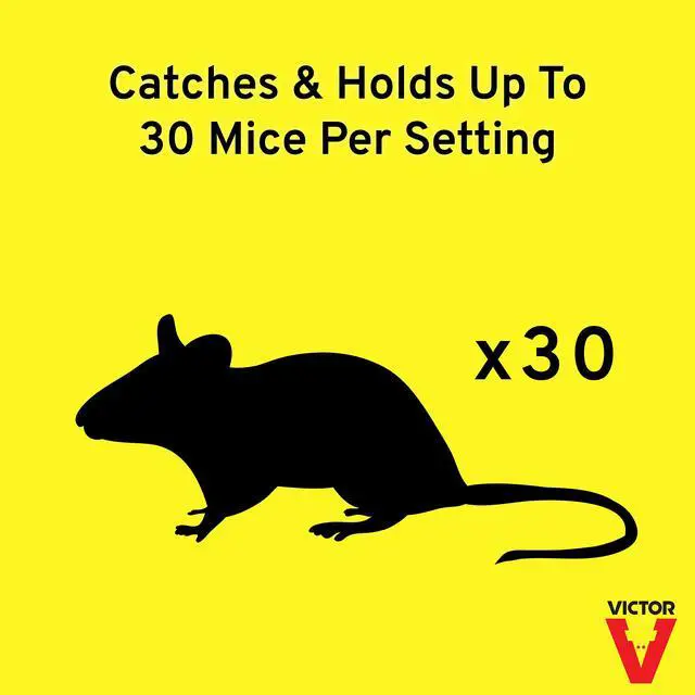 Alt view image 3 of 6 - M308 Tin Cat Humane Live Mouse Trap Clear Lid (Pack of 12)