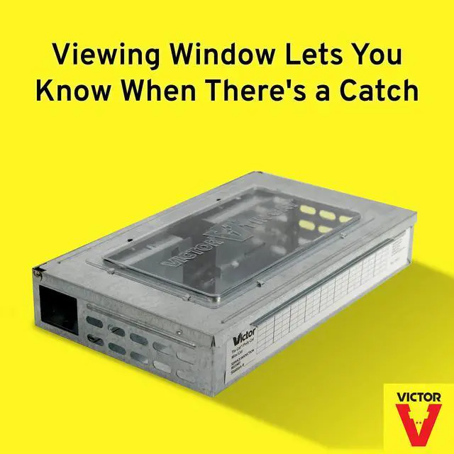 Alt view image 4 of 6 - M308 Tin Cat Humane Live Mouse Trap Clear Lid (Pack of 12)