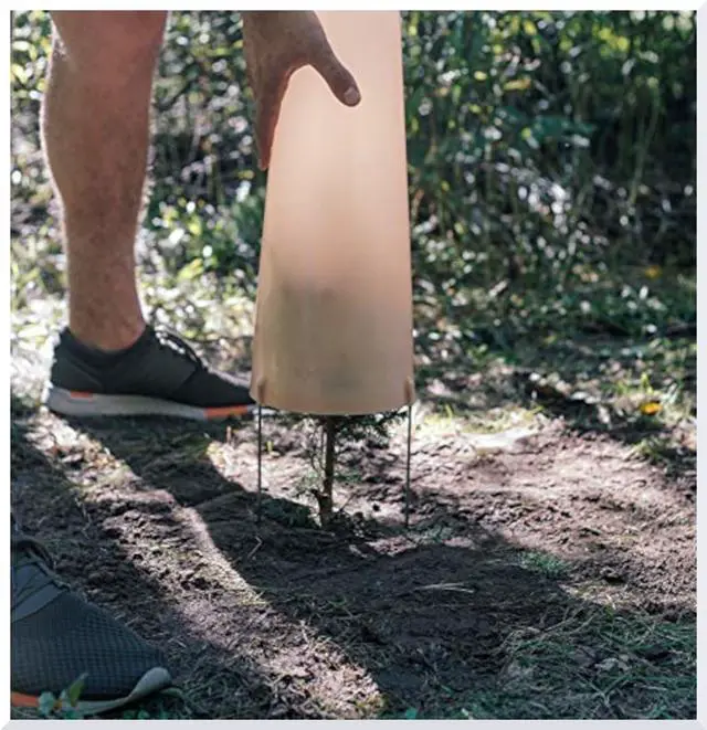 Alt view image 2 of 6 - Seedling Shelter (20)