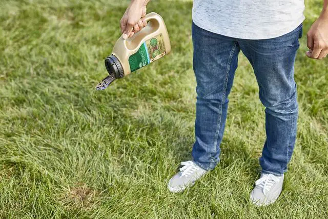 Alt view image 3 of 6 - EZ Seed Dog Spot Repair Sun and Shade, Combination Mulch, Seed and Soil Amendment, 2 lbs. (6-Pack)