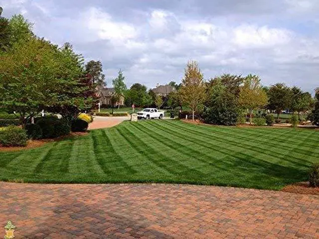 Alt view image 2 of 2 - Lesco Transition Pro Grass Seed (50 lb.)