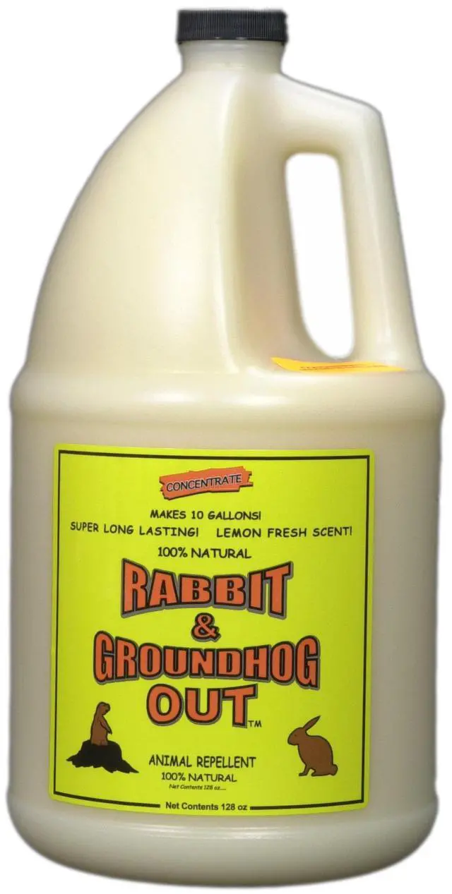 Main image of Rabbit & Groundhog Repellent: Rabbit Out 1 Gallon Concentrate