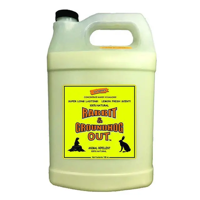 Alt view image 2 of 2 - Rabbit & Groundhog Repellent: Rabbit Out 1 Gallon Concentrate