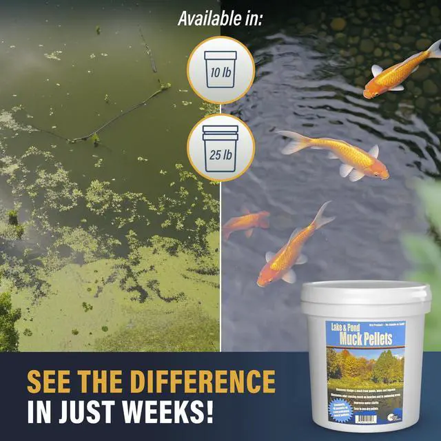 Alt view image 4 of 6 - Lake and Pond Muck Pellets 10lb. | Easy to Apply Quick Activating Tablets | Natural Lake Sludge Remover