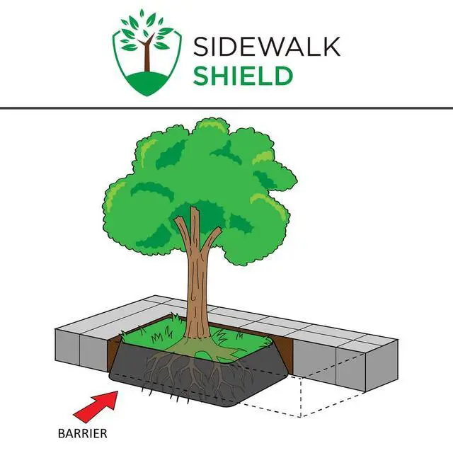 Alt view image 4 of 6 - Tree Root Control Barrier (Heavy Duty - 36 inch Depth, 25 feet)