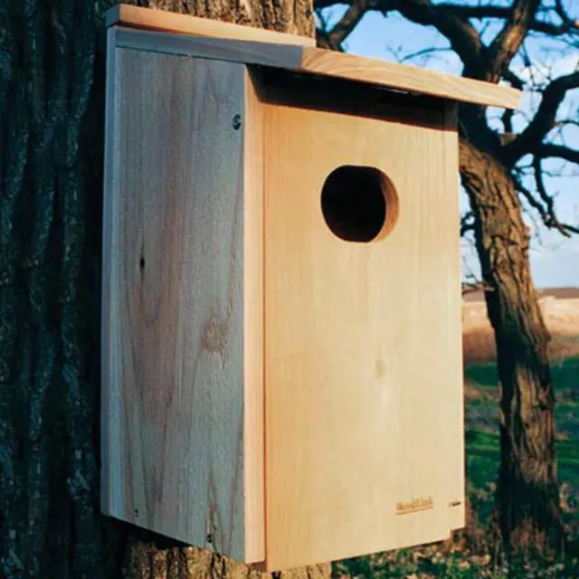 Alt view image 4 of 6 - Wood Duck Nest Bird House