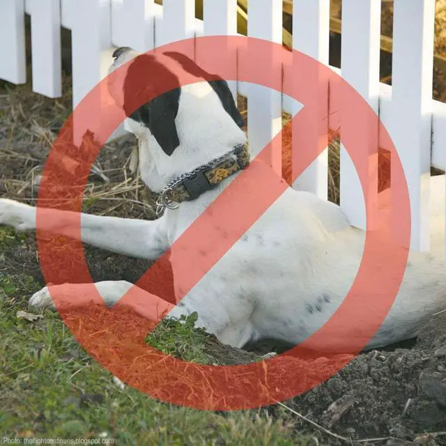 Alt view image 2 of 5 - Dig Proofer Kit for Preventing Digging Under Fence