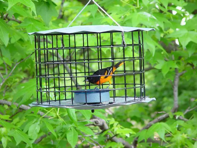 Alt view image 3 of 5 - Starling-Proof Barrier Guard Bluebird Feeder with Glass Mealworm Cup - Premium Blue Powdercoat Finish - Made in USA (BBF1)