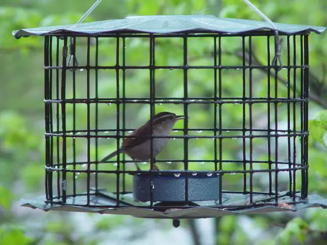 Alt view image 4 of 5 - Starling-Proof Barrier Guard Bluebird Feeder with Glass Mealworm Cup - Premium Blue Powdercoat Finish - Made in USA (BBF1)