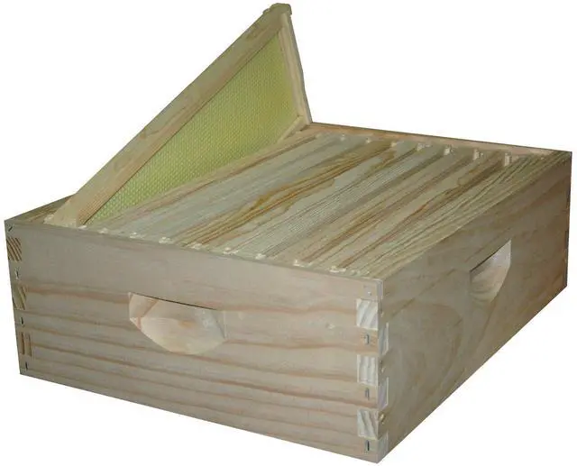 Alt view image 4 of 6 - 10-Frame Medium Super Kit, Fully Assembled 6" Super Box with 10 Durable Frames & Beeswax-Coated Plastic Foundation for Honey Storage, Beekeeping and Hive Expansion, Made in USA, Unpainted