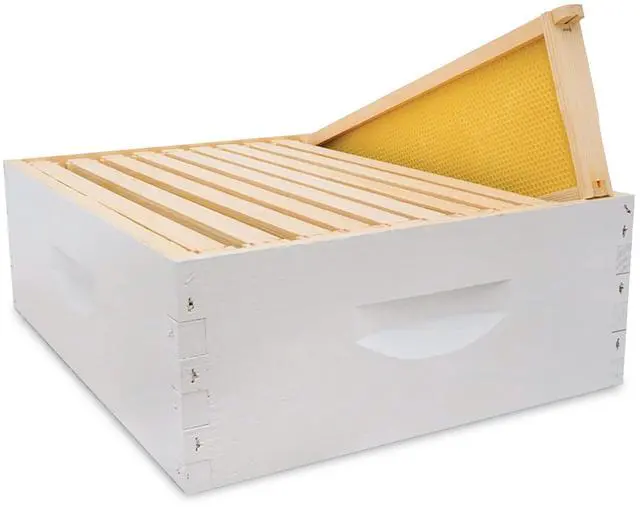 Main image of 10-Frame Medium Super Kit, Fully Assembled 6" Super Box with 10 Durable Frames & Beeswax-Coated Plastic Foundation for Honey Storage, Beekeeping and Hive Expansion, Made in USA, Painted