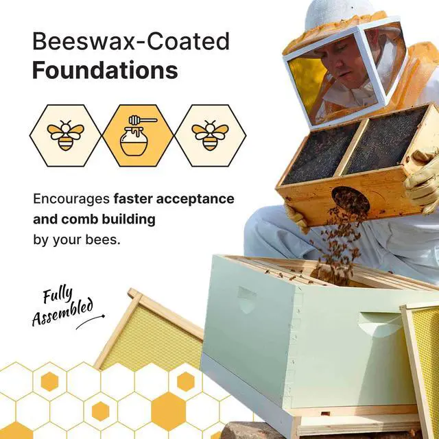 Alt view image 5 of 6 - 10-Frame Medium Super Kit, Fully Assembled 6" Super Box with 10 Durable Frames & Beeswax-Coated Plastic Foundation for Honey Storage, Beekeeping and Hive Expansion, Made in USA, Painted