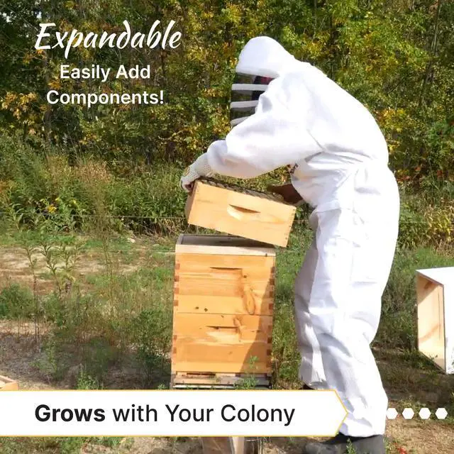 Alt view image 6 of 6 - 10-Frame Medium Super Kit, Fully Assembled 6" Super Box with 10 Durable Frames & Beeswax-Coated Plastic Foundation for Honey Storage, Beekeeping and Hive Expansion, Made in USA, Painted