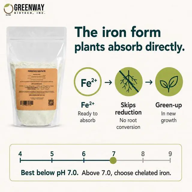 Alt view image 3 of 6 - Ferrous Sulfate Heptahydrate Fertilizer Includes 20% Iron (Fe) 12% Sulfur & 100% Water Soluble Powder- Organic Lawn Fertilizer for Vegetables and Plant Growth (25 Pounds)