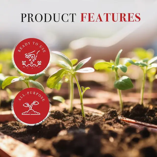 Alt view image 4 of 6 - Michigan Peat 1640 Wholly Cow Horticultural Compost and Manure for Soil Amendment, Lawn Care, & Garden Beds, 40 Quart Bag (2 Pack)