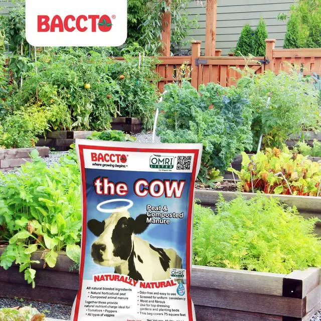 Alt view image 6 of 6 - Michigan Peat 1640 Wholly Cow Horticultural Compost and Manure for Soil Amendment, Lawn Care, & Garden Beds, 40 Quart Bag (2 Pack)