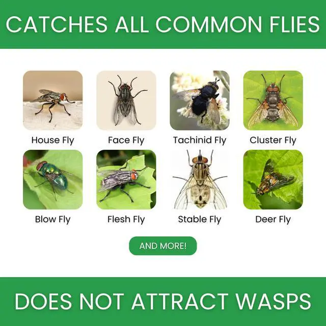 Alt view image 4 of 6 - Fly Trap | Outdoor Device for Catching Flies | 10-Liter Commercial Size | Comes with One Flytrap and 2 Bait Packets | 2,000,000 Fly Capacity | Non-Toxic | Child & Pet Safe
