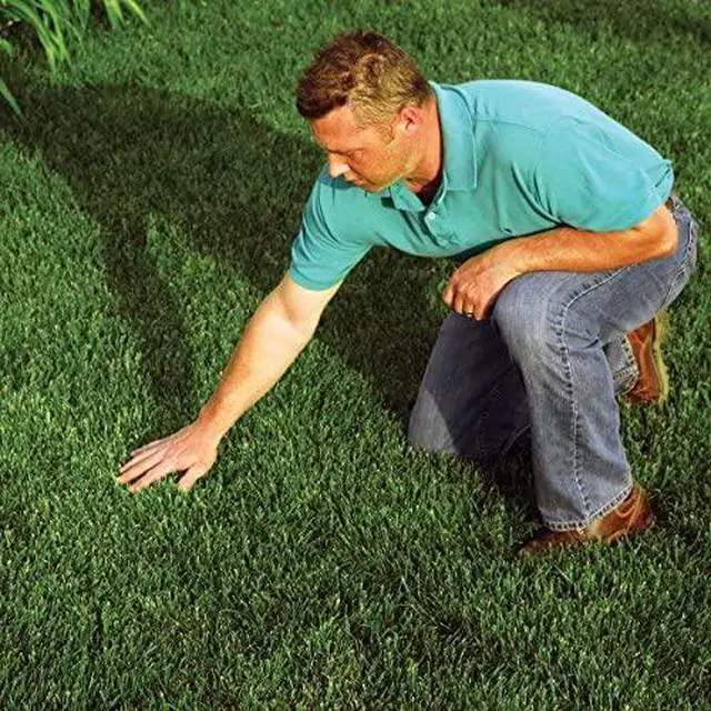 Alt view image 4 of 6 - Grass Seed Germination and Erosion Control Blanket, 4 ft x 50 ft, Covers 200 sq ft Protects and Assists in Grass Seed Growth