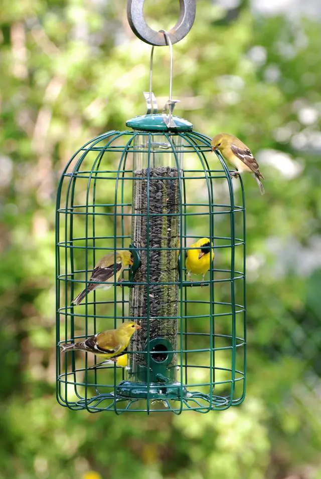 Alt view image 2 of 4 - Audubon Squirrel Proof Caged Tube Feeder