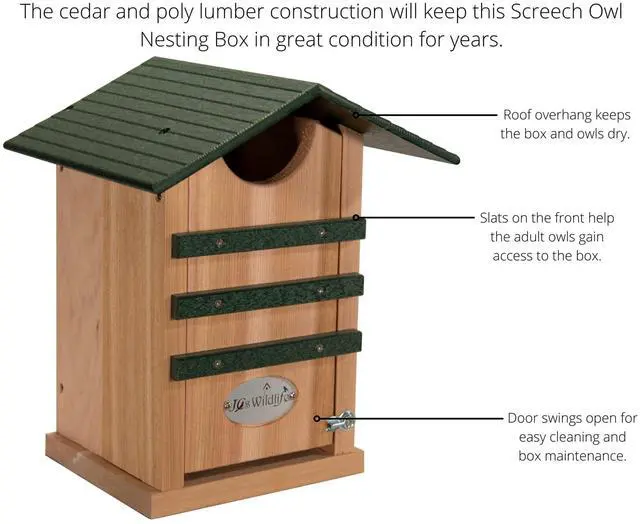 Alt view image 5 of 6 - Screech Owl House Cedar Nesting Box with Poly Lumber Roof, Saw-Whet Owl Box for Outside, Drainage Ventilation, Easy Cleanout, Made in USA, Green