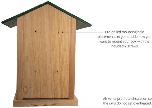 Alt view image 6 of 6 - Screech Owl House Cedar Nesting Box with Poly Lumber Roof, Saw-Whet Owl Box for Outside, Drainage Ventilation, Easy Cleanout, Made in USA, Green