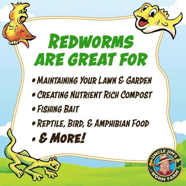 Alt view image 3 of 6 - 500 Count Red Wiggler Composting Worms Mix for Garden Soil or Fishing | Starter Pack of Compost Worms Improves Soil Structure and Quality for Healthier Gardens