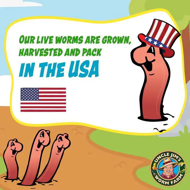 Alt view image 5 of 6 - 500 Count Red Wiggler Composting Worms Mix for Garden Soil or Fishing | Starter Pack of Compost Worms Improves Soil Structure and Quality for Healthier Gardens