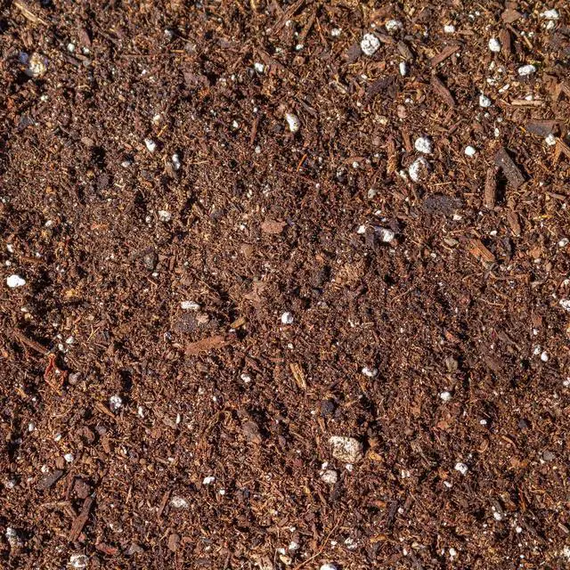 Alt view image 4 of 5 - Roots Organic Formula 3 Cubic Feet 707 Growing Mix Peat, Compost, Coco Lawn Garden Large Container Water Retention Potting Soil in 30 Gallon Grow Bag
