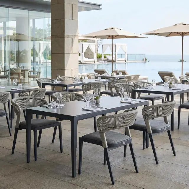 Main image of 2 Pieces Outdoor Dining Chair All-Weather Wicker Aluminum Frame Patio Dining Chair for Lawn Garden Backyard Deck with Cushion, Gray
